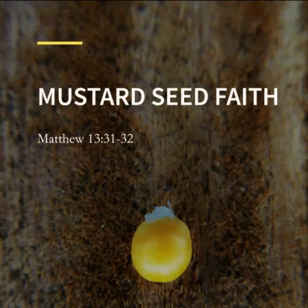 Sermon: Mustard Seed Faith
